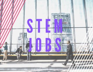 stem jobs